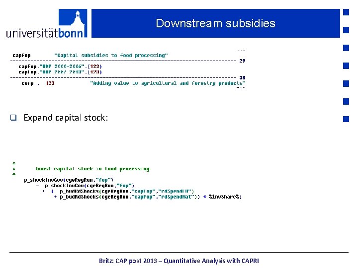 Downstream subsidies q Expand capital stock: Britz: CAP post 2013 – Quantitative Analysis with