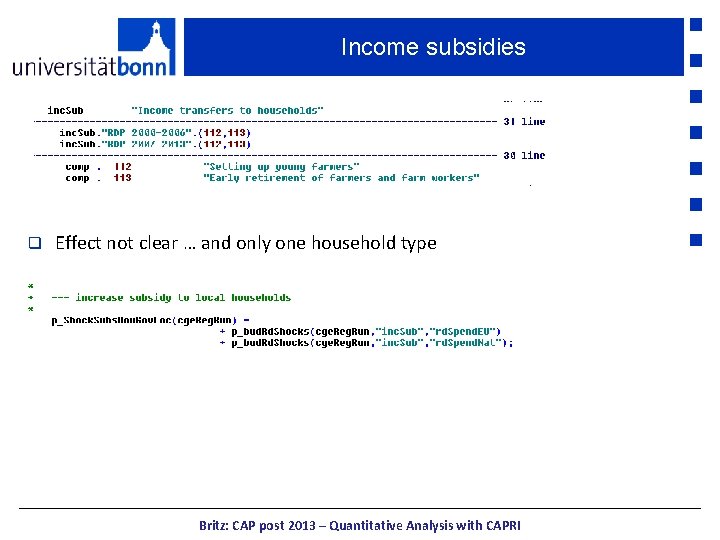 Income subsidies q Effect not clear … and only one household type Britz: CAP
