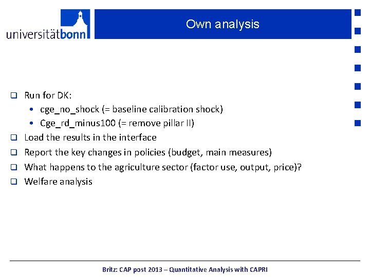 Own analysis q q q Run for DK: • cge_no_shock (= baseline calibration shock)