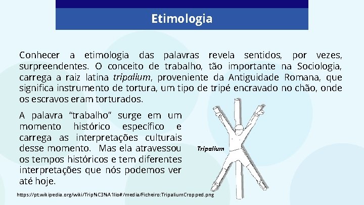 Etimologia Conhecer a etimologia das palavras revela sentidos, por vezes, surpreendentes. O conceito de