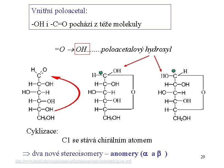 Vnitřní poloacetal: -OH i -C=O pochází z téže molekuly =O OH. . . .