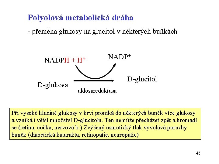 Polyolová metabolická dráha - přeměna glukosy na glucitol v některých buňkách NADPH + D-glukosa