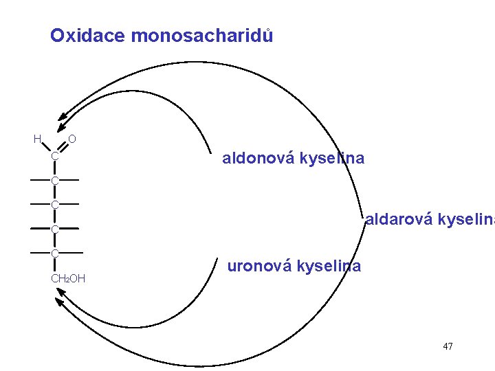 Oxidace monosacharidů H O C aldonová kyselina C C aldarová kyselina C C CH
