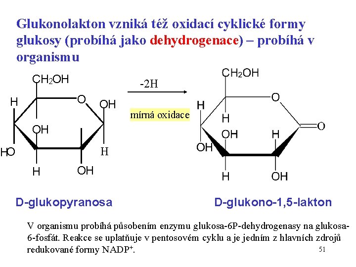Glukonolakton vzniká též oxidací cyklické formy glukosy (probíhá jako dehydrogenace) – probíhá v organismu
