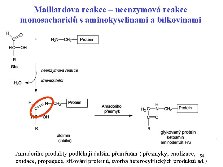 Maillardova reakce – neenzymová reakce monosacharidů s aminokyselinami a bílkovinami Amadoriho produkty podléhají dalším