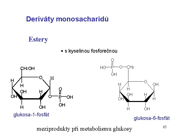 Deriváty monosacharidů Estery s kyselinou fosforečnou O HO CH 2 OH H OH O