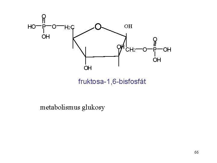 O HO P O O H 2 C OH OH O OH CH 2