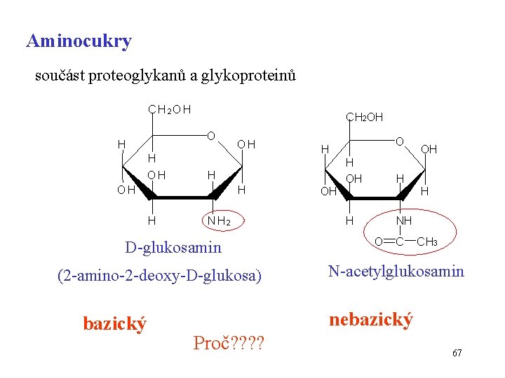 Aminocukry součást proteoglykanů a glykoproteinů C H 2 OH CH 2 OH O H