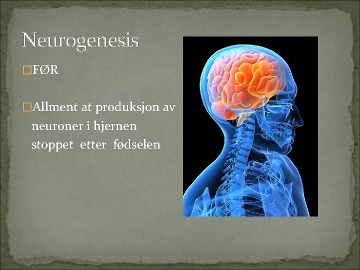 Neurogenesis �FØR �Allment at produksjon av neuroner i hjernen stoppet etter fødselen 