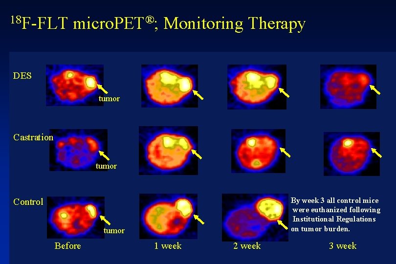 18 F-FLT micro. PET®; Monitoring Therapy DES tumor Castration tumor By week 3 all