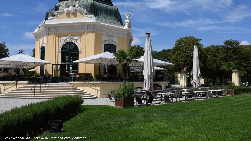 ZOO Schönbrunn - Foto © by Hermann Kolb Vienna. at 