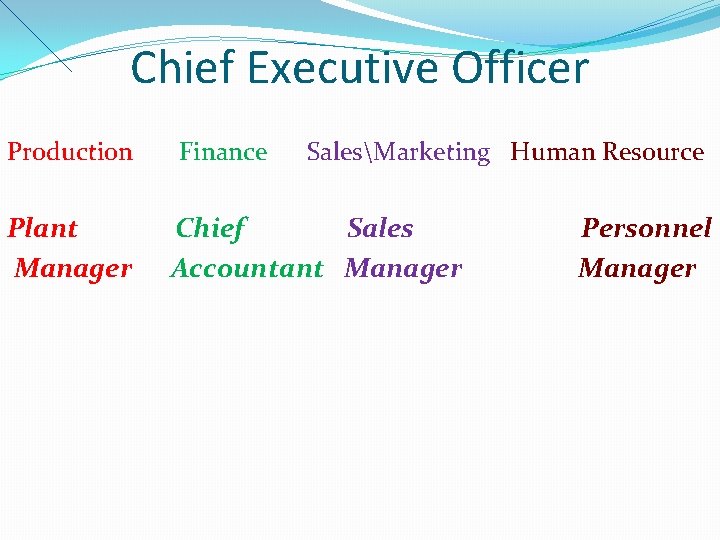 Chief Executive Officer Production Plant Manager Finance SalesMarketing Human Resource Chief Sales Accountant Manager