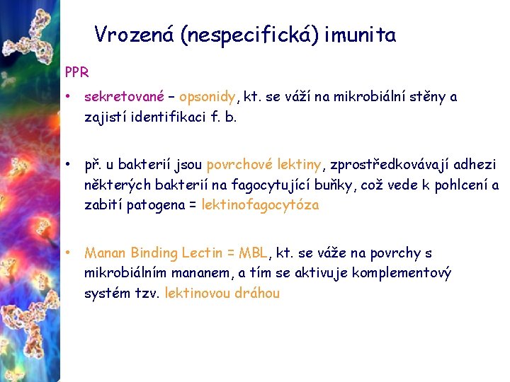 Vrozená (nespecifická) imunita PPR • sekretované – opsonidy, kt. se váží na mikrobiální stěny