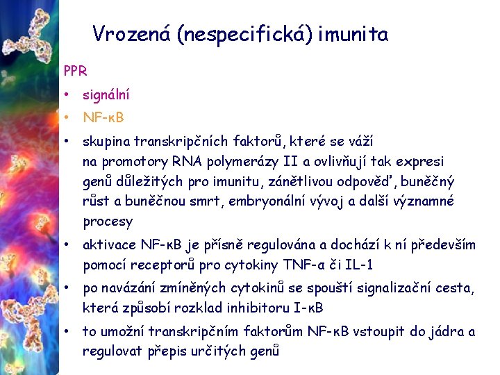 Vrozená (nespecifická) imunita PPR • signální • NF-κB • skupina transkripčních faktorů, které se