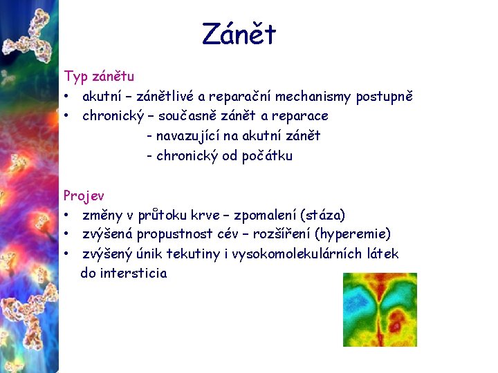 Zánět Typ zánětu • akutní – zánětlivé a reparační mechanismy postupně • chronický –