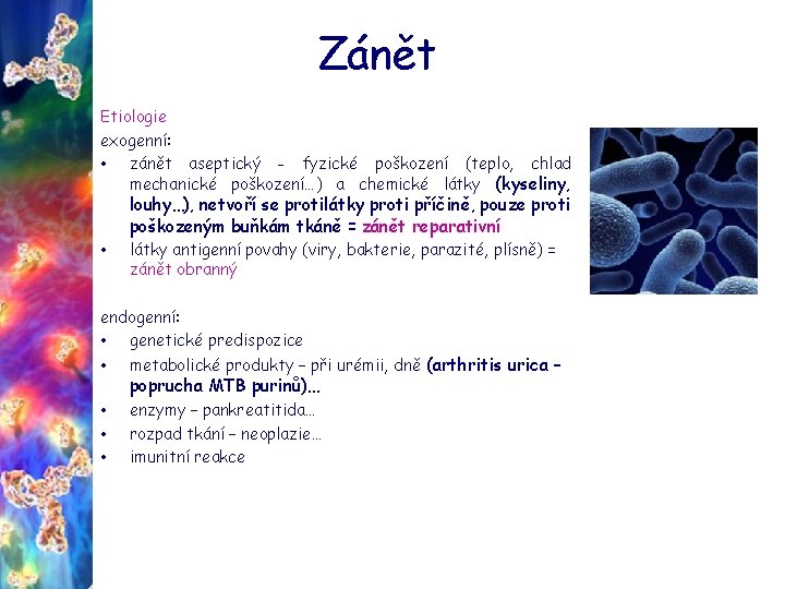 Zánět Etiologie exogenní: • zánět aseptický - fyzické poškození (teplo, chlad mechanické poškození…) a