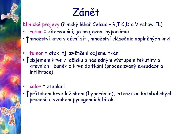 Zánět Klinické projevy (římský lékař Celsus – R, T, C, D a Virchow FL)