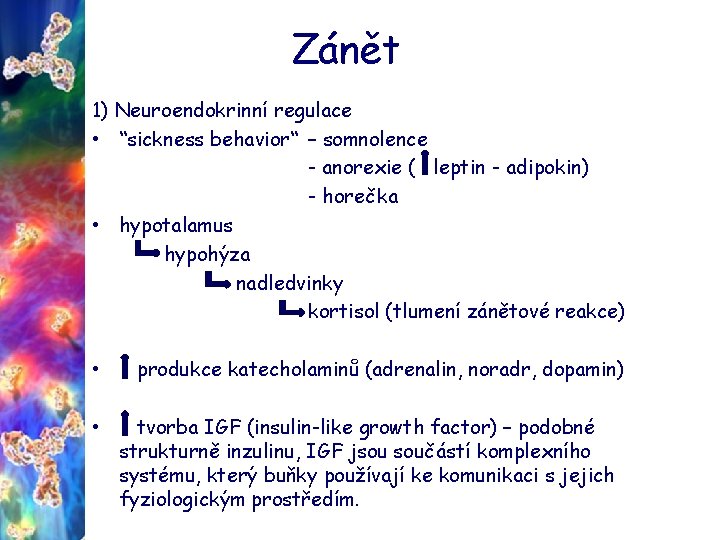 Zánět 1) Neuroendokrinní regulace • “sickness behavior“ – somnolence - anorexie ( leptin -