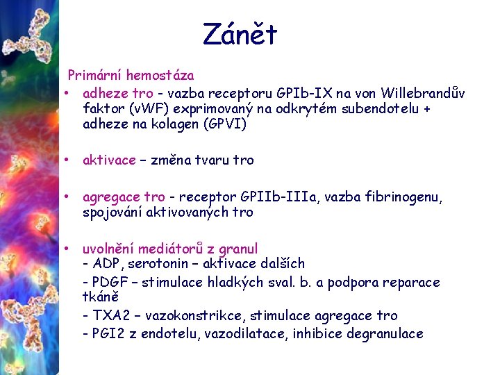 Zánět Primární hemostáza • adheze tro - vazba receptoru GPIb-IX na von Willebrandův faktor