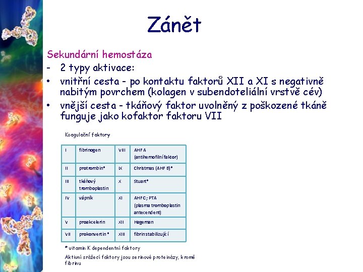 Zánět Sekundární hemostáza - 2 typy aktivace: • vnitřní cesta - po kontaktu faktorů