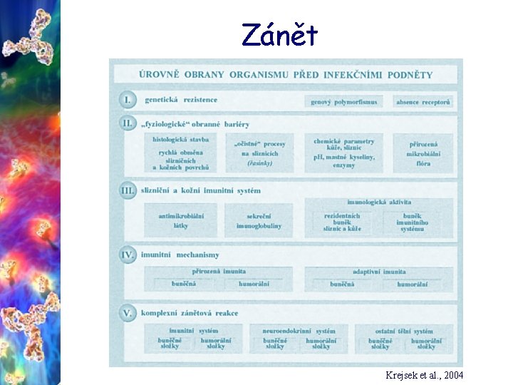 Zánět Krejsek et al. , 2004 