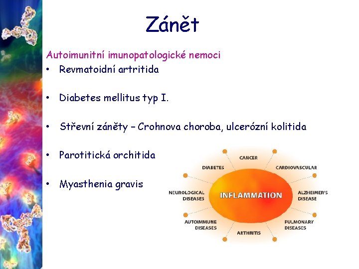 Zánět Autoimunitní imunopatologické nemoci • Revmatoidní artritida • Diabetes mellitus typ I. • Střevní