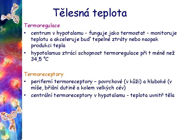 Tělesná teplota Termoregulace • centrum v hypotalamu - funguje jako termostat - monitoruje teplotu