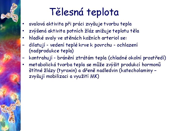 Tělesná teplota svalová aktivita při práci zvyšuje tvorbu tepla zvýšená aktivita potních žláz snižuje