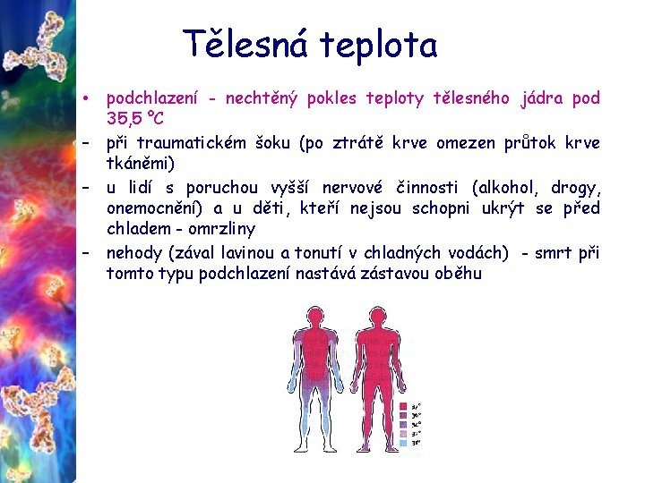 Tělesná teplota podchlazení - nechtěný pokles teploty tělesného jádra pod 35, 5 °C –