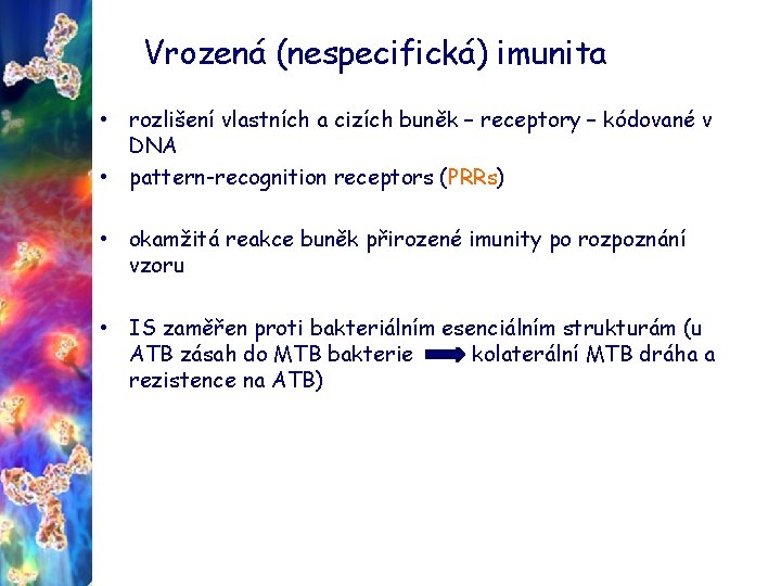 Vrozená (nespecifická) imunita • rozlišení vlastních a cizích buněk – receptory – kódované v