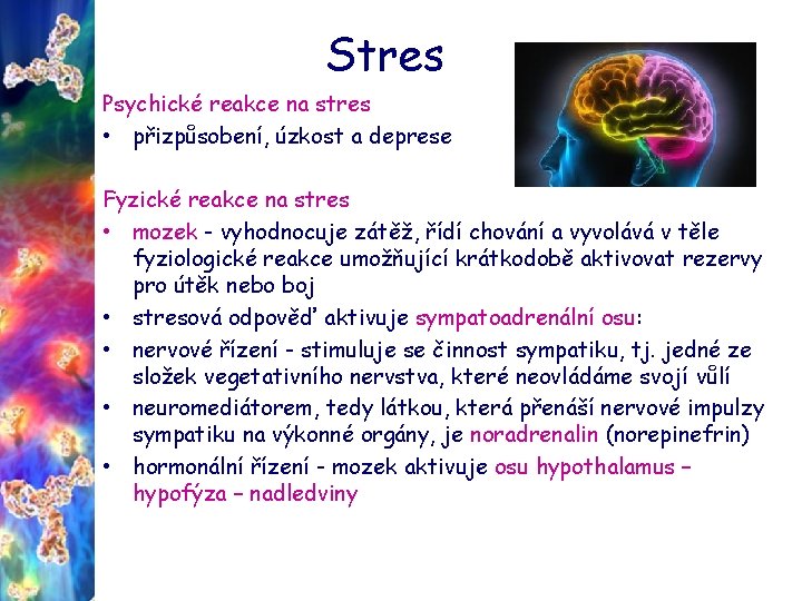 Stres Psychické reakce na stres • přizpůsobení, úzkost a deprese Fyzické reakce na stres