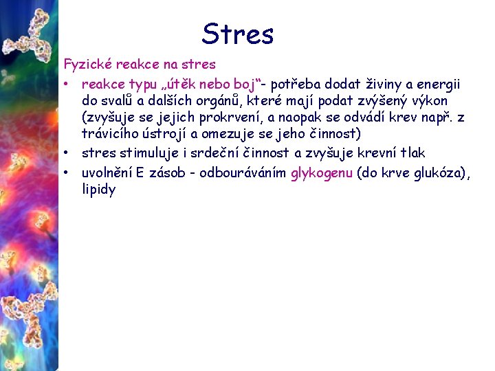 Stres Fyzické reakce na stres • reakce typu „útěk nebo boj“- potřeba dodat živiny