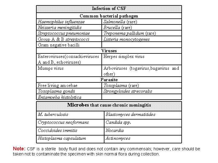 Infection of CSF Common bacterial pathogen Haemophilus influenzae Salmonella (rare) Neisseria meningitidis Brucella (rare)