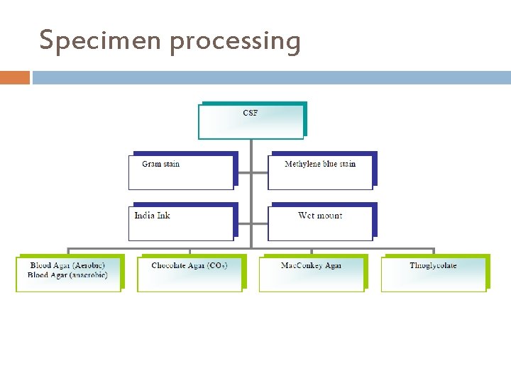 Specimen processing 