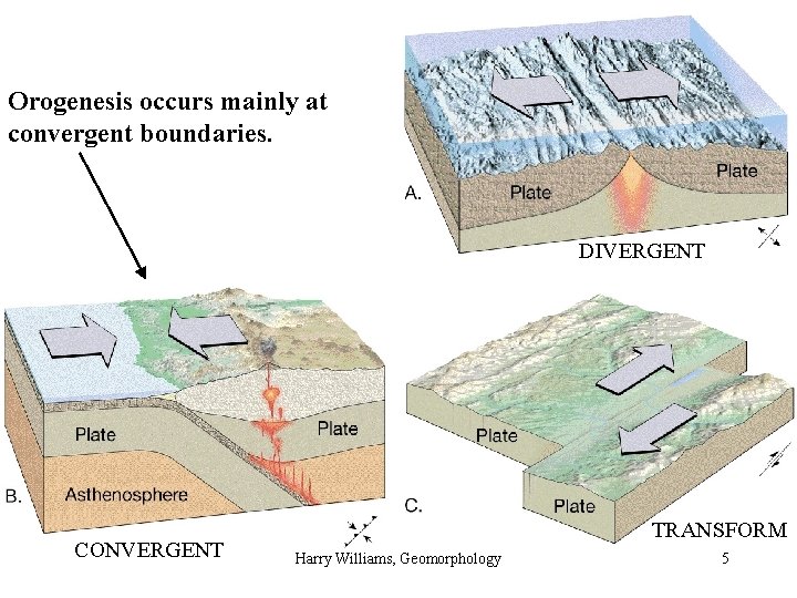 Orogenesis occurs mainly at convergent boundaries. DIVERGENT CONVERGENT TRANSFORM Harry Williams, Geomorphology 5 