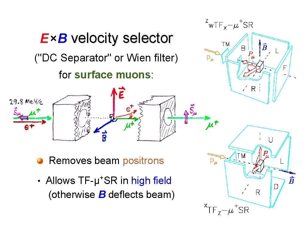 E ×B velocity selector ("DC Separator" or Wien filter) for surface muons: Removes beam