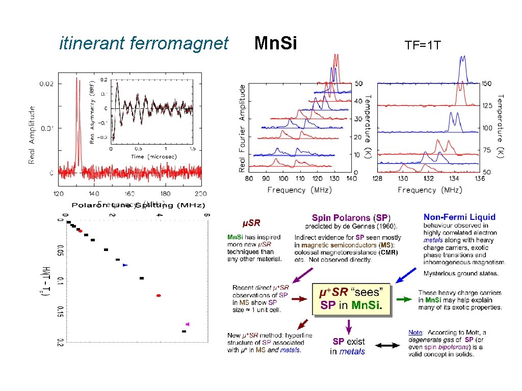 itinerant ferromagnet Mn. Si TF=1 T 