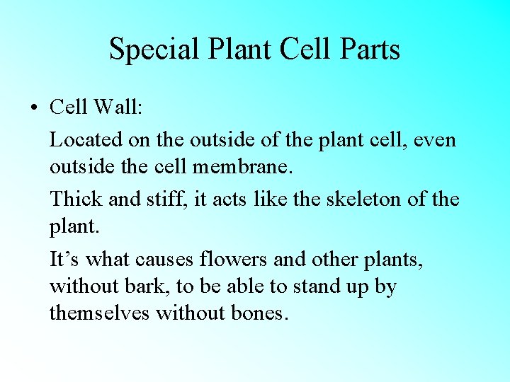 Special Plant Cell Parts • Cell Wall: Located on the outside of the plant