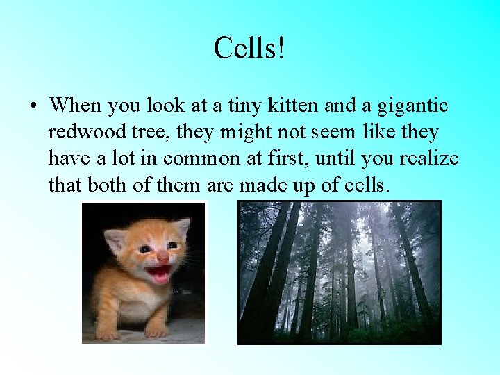 Cells! • When you look at a tiny kitten and a gigantic redwood tree,