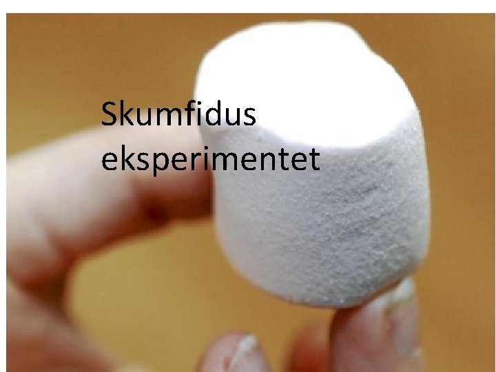 Skumfidus eksperimentet 