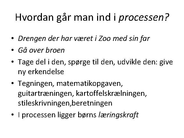 Hvordan går man ind i processen? • Drengen der har været i Zoo med