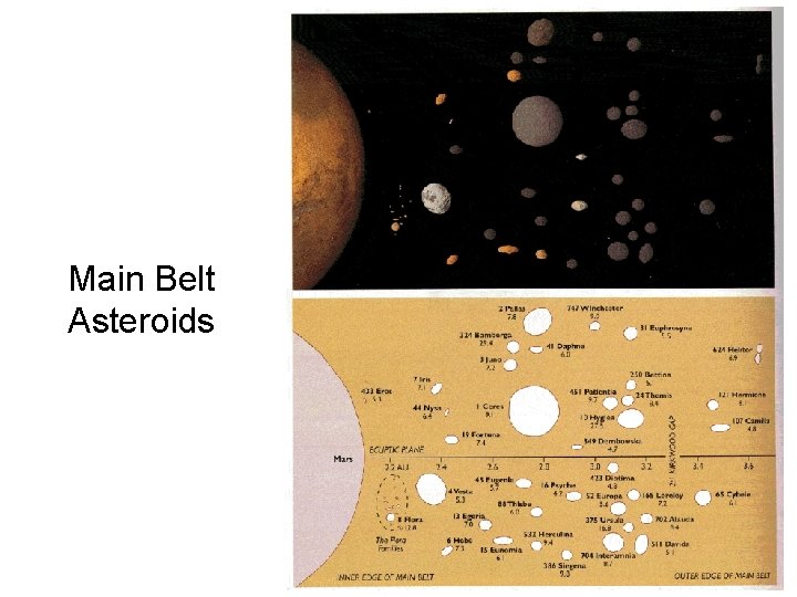 Main Belt Asteroids 
