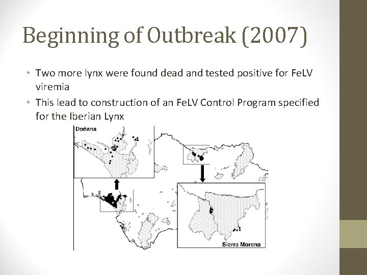 Beginning of Outbreak (2007) • Two more lynx were found dead and tested positive