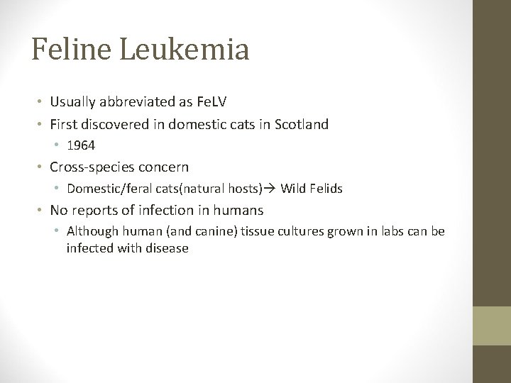 Feline Leukemia • Usually abbreviated as Fe. LV • First discovered in domestic cats