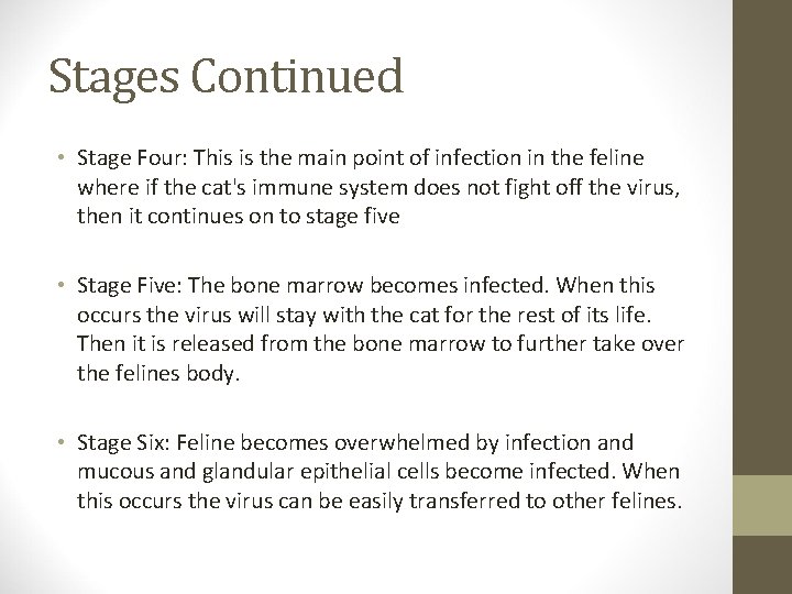 Stages Continued • Stage Four: This is the main point of infection in the