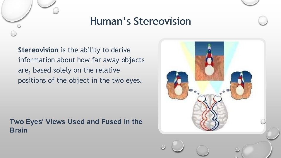 Human’s Stereovision is the ability to derive information about how far away objects are,