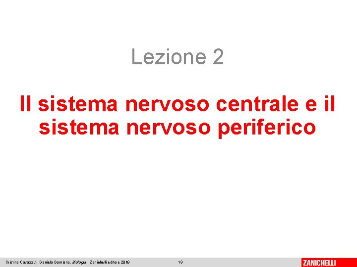 Lezione 2 Il sistema nervoso centrale e il sistema nervoso periferico Cristina Cavazzuti, Daniela