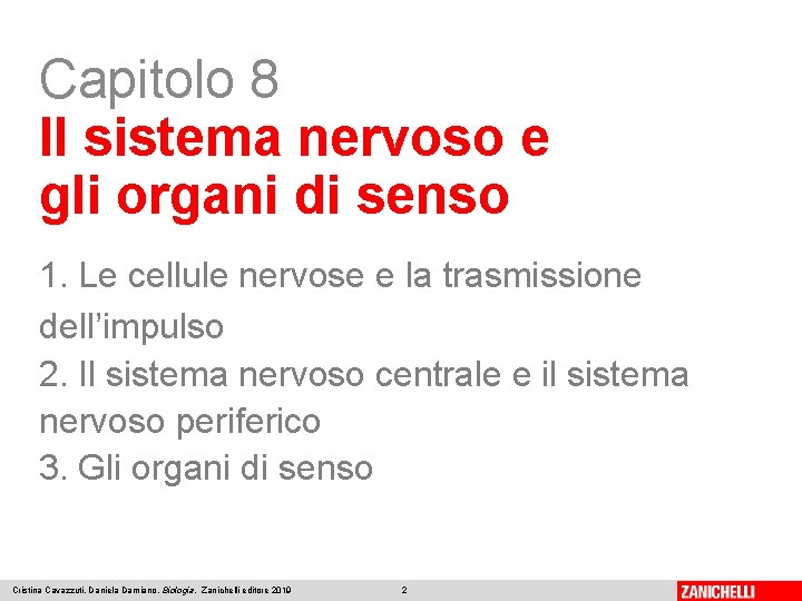 Capitolo 8 Il sistema nervoso e gli organi di senso 1. Le cellule nervose