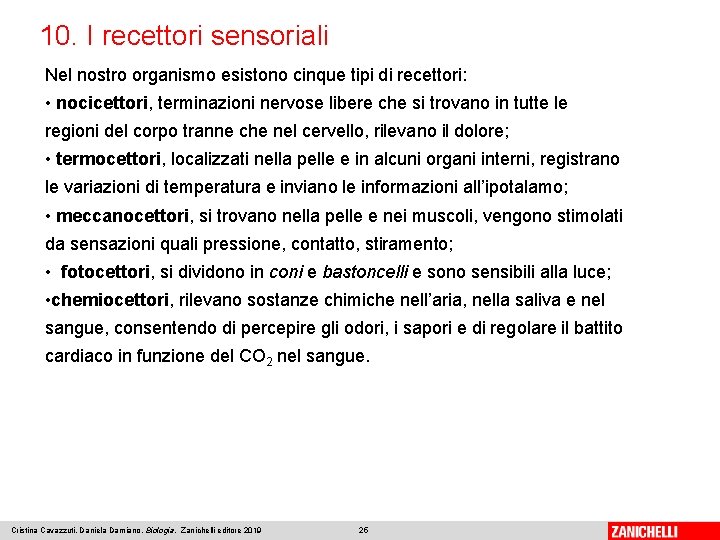 10. I recettori sensoriali Nel nostro organismo esistono cinque tipi di recettori: • nocicettori,