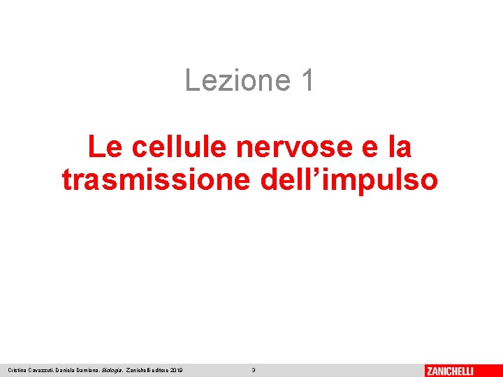 Lezione 1 Le cellule nervose e la trasmissione dell’impulso Cristina Cavazzuti, Daniela Damiano, Biologia,